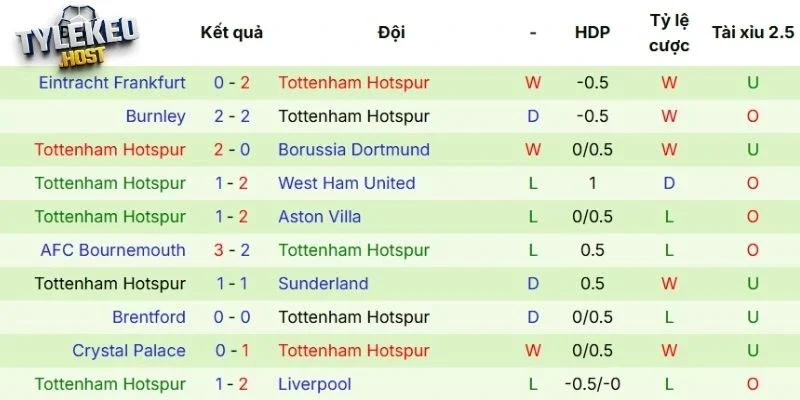 Thành tích gần đây của gà trống