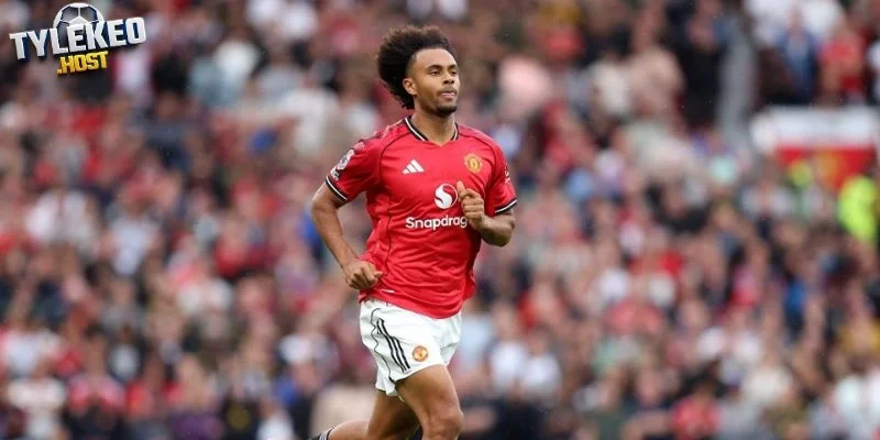 Zirkzee chưa đáp ứng được kỳ vọng