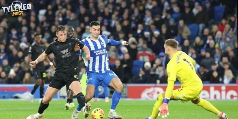 Đánh giá nhanh phong độ của Sunderland vs Brighton